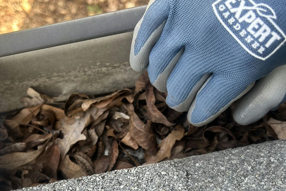 Gutter Cleaning Severna Park