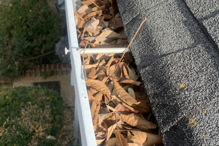 Gutter Cleaning Severna Park