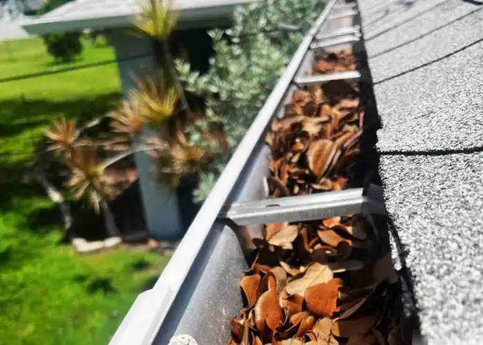 Gutter Cleaning Severna Park home page